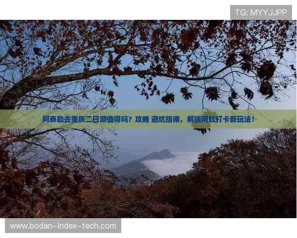 篮球社区彩票高频玩法防骗避坑指南